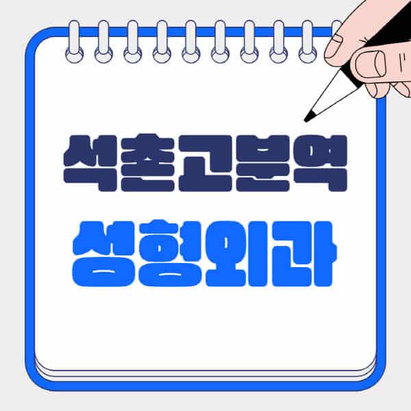 석촌고분역-성형외과-유명한-곳-추천-일요일-전문의-잘하는-곳-흉터-눈-코-얼굴-지방이식