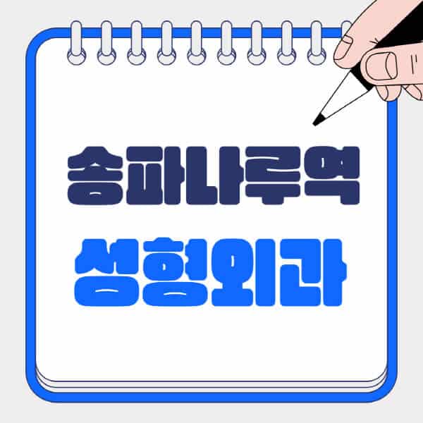 송파나루역-성형외과-유명한-곳-추천-일요일-전문의-잘하는-곳-흉터-눈-코-얼굴-지방이식