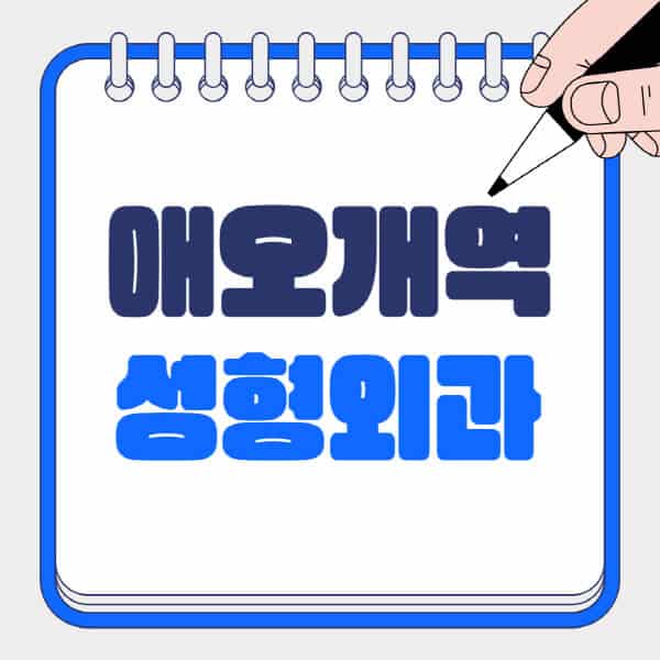애오개역-성형외과-유명한-곳-추천-일요일-전문의-잘하는-곳-흉터-눈-코-얼굴-지방이식