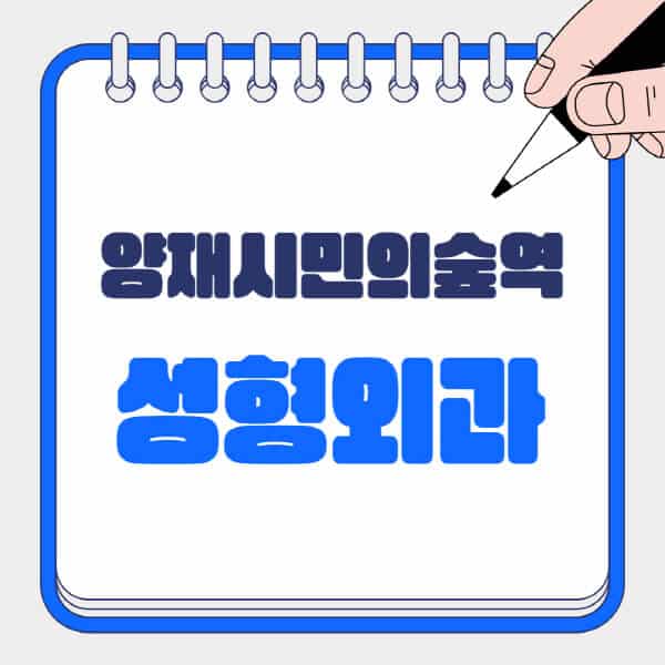 양재시민의숲역-성형외과-유명한-곳-추천-일요일-전문의-잘하는-곳-흉터-눈-코-얼굴-지방이식