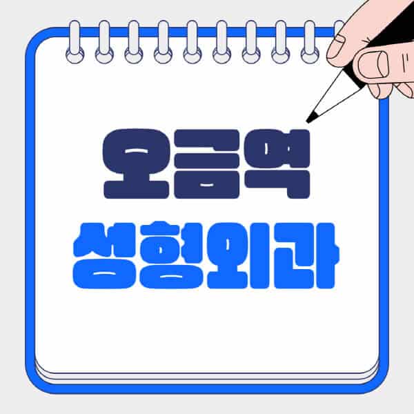 오금역-성형외과-유명한-곳-추천-일요일-전문의-잘하는-곳-흉터-눈-코-얼굴-지방이식