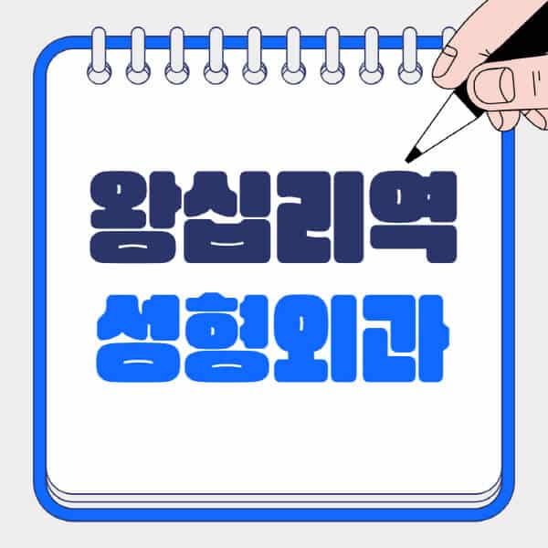 왕십리역-성형외과-유명한-곳-추천-일요일-전문의-잘하는-곳-흉터-눈-코-얼굴-지방이식