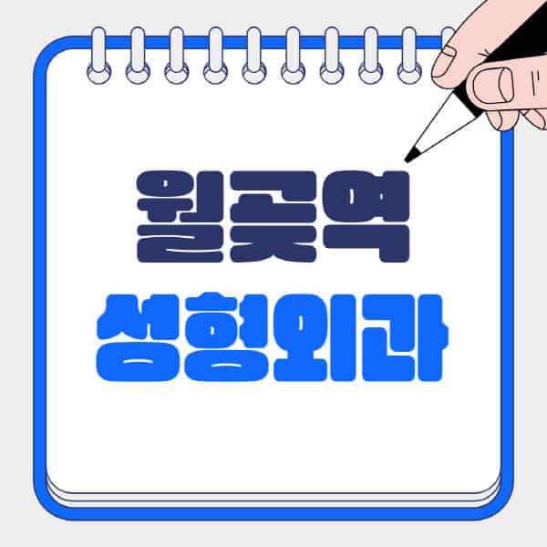 월곶역-성형외과-유명한-곳-추천-일요일-전문의-잘하는-곳-흉터-눈-코-얼굴-지방이식