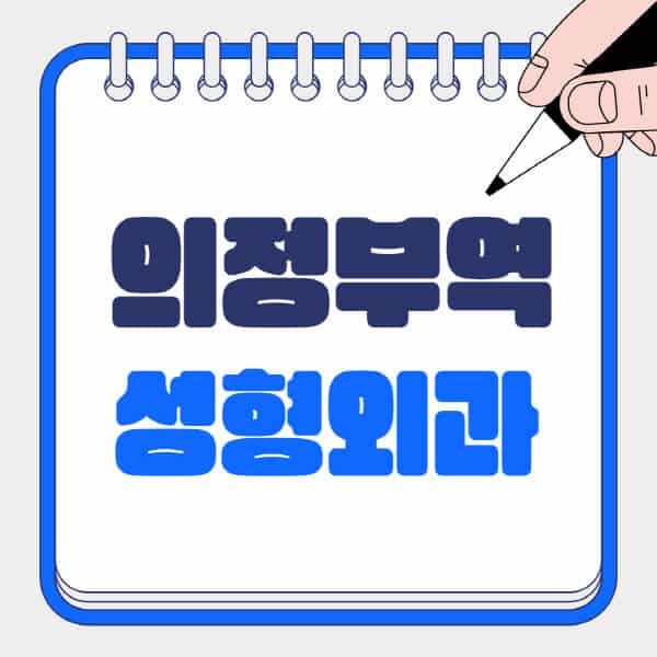 의정부역-성형외과-유명한-곳-추천-일요일-전문의-잘하는-곳-흉터-눈-코-얼굴-지방이식