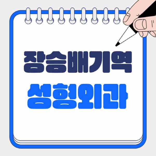장승배기역-성형외과-유명한-곳-추천-일요일-전문의-잘하는-곳-흉터-눈-코-얼굴-지방이식