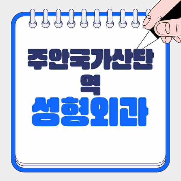주안국가산단역-성형외과-유명한-곳-추천-일요일-전문의-잘하는-곳-흉터-눈-코-얼굴-지방이식