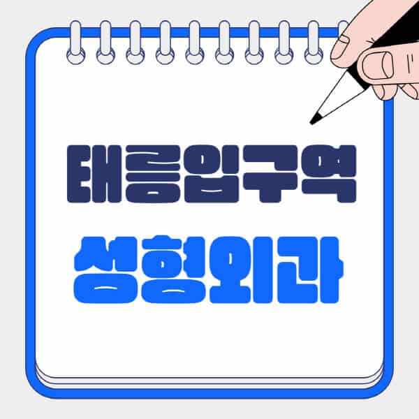 태릉입구역-성형외과-유명한-곳-추천-일요일-전문의-잘하는-곳-흉터-눈-코-얼굴-지방이식