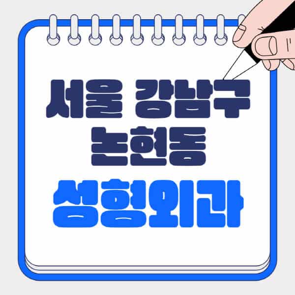 서울-강남구-논현동-성형외과-유명한-곳-추천-일요일-전문의-잘하는-곳-흉터-눈-코-얼굴-지방이식