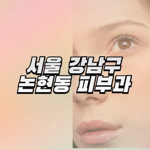 서울-강남구-논현동-피부과-잘하는-곳-추천-전문의-일요일-진료-유명한-곳-리프팅-보톡스-필러-레이저제모-여드름