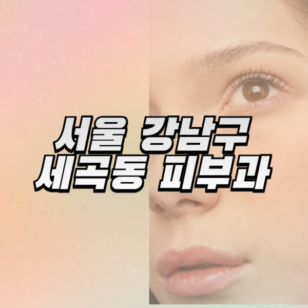 서울-강남구-세곡동-피부과-잘하는-곳-추천-전문의-일요일-진료-유명한-곳-리프팅-보톡스-필러-레이저제모-여드름