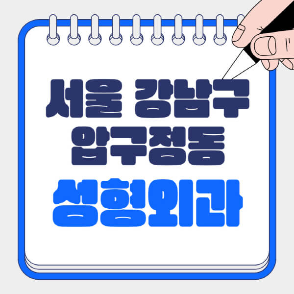 서울-강남구-압구정동-성형외과-유명한-곳-추천-일요일-전문의-잘하는-곳-흉터-눈-코-얼굴-지방이식