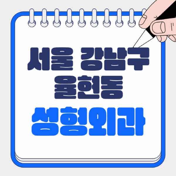서울-강남구-율현동-성형외과-유명한-곳-추천-일요일-전문의-잘하는-곳-흉터-눈-코-얼굴-지방이식