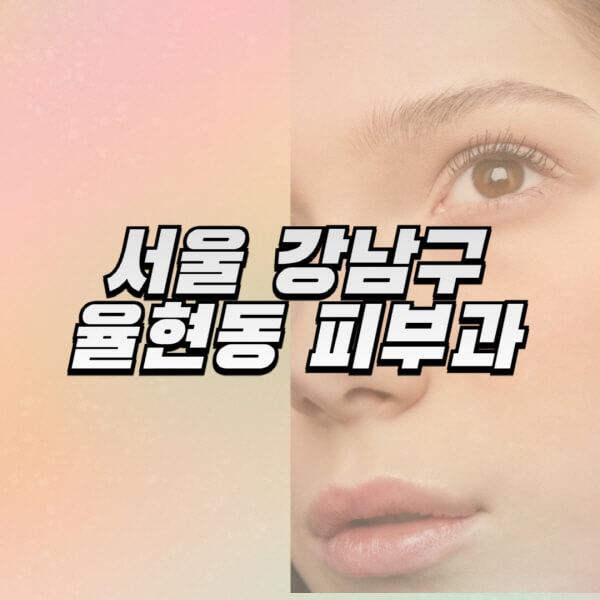 서울-강남구-율현동-피부과-잘하는-곳-추천-전문의-일요일-진료-유명한-곳-리프팅-보톡스-필러-레이저제모-여드름