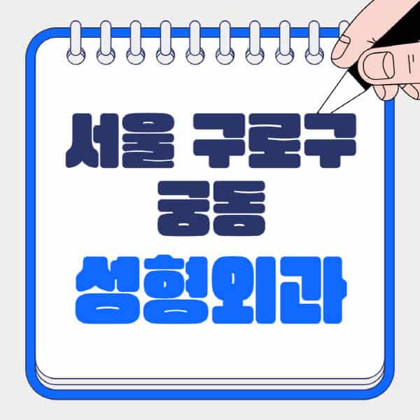 서울-구로구-궁동-성형외과-유명한-곳-추천-일요일-전문의-잘하는-곳-흉터-눈-코-얼굴-지방이식