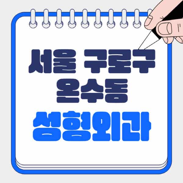 서울-구로구-온수동-성형외과-유명한-곳-추천-일요일-전문의-잘하는-곳-흉터-눈-코-얼굴-지방이식