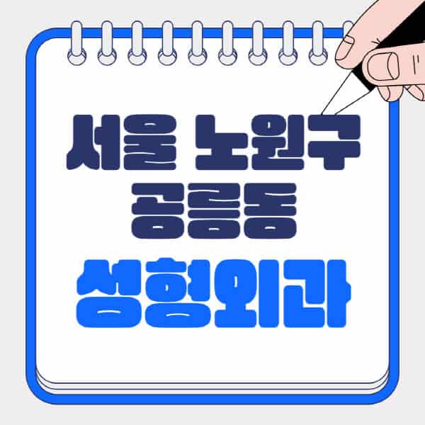 서울-노원구-공릉동-성형외과-유명한-곳-추천-일요일-전문의-잘하는-곳-흉터-눈-코-얼굴-지방이식
