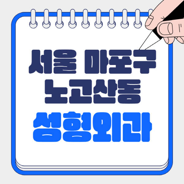 서울-마포구-노고산동-성형외과-유명한-곳-추천-일요일-전문의-잘하는-곳-흉터-눈-코-얼굴-지방이식