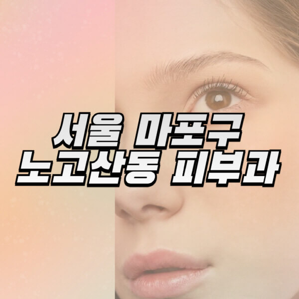 서울-마포구-노고산동-피부과-잘하는-곳-추천-전문의-일요일-진료-유명한-곳-리프팅-보톡스-필러-레이저제모-여드름