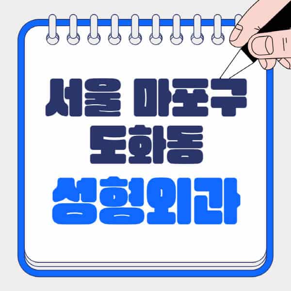 서울-마포구-도화동-성형외과-유명한-곳-추천-일요일-전문의-잘하는-곳-흉터-눈-코-얼굴-지방이식