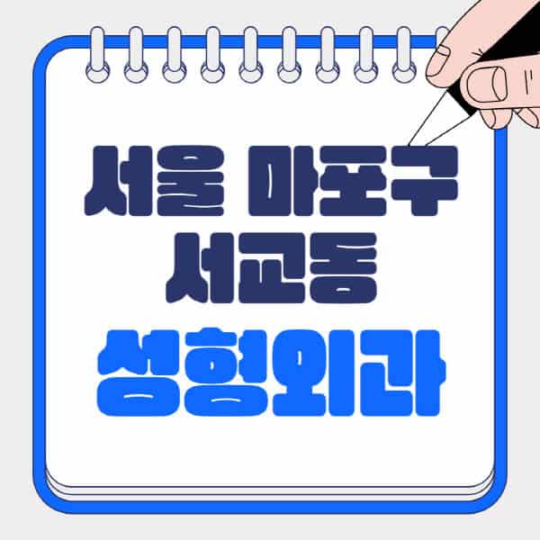 서울-마포구-서교동-성형외과-유명한-곳-추천-일요일-전문의-잘하는-곳-흉터-눈-코-얼굴-지방이식