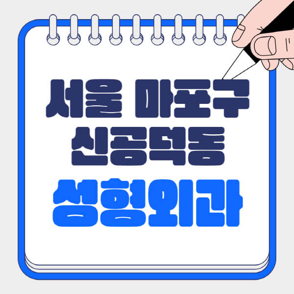 서울-마포구-신공덕동-성형외과-유명한-곳-추천-일요일-전문의-잘하는-곳-흉터-눈-코-얼굴-지방이식