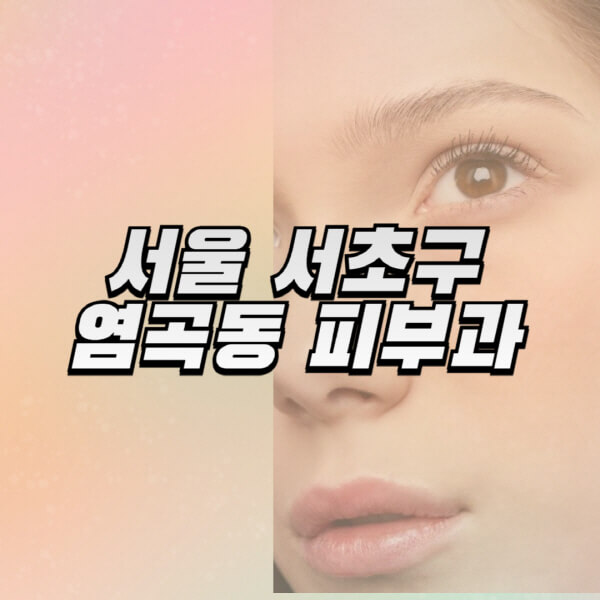 서울-서초구-염곡동-피부과-잘하는-곳-추천-전문의-일요일-진료-유명한-곳-리프팅-보톡스-필러-레이저제모-여드름