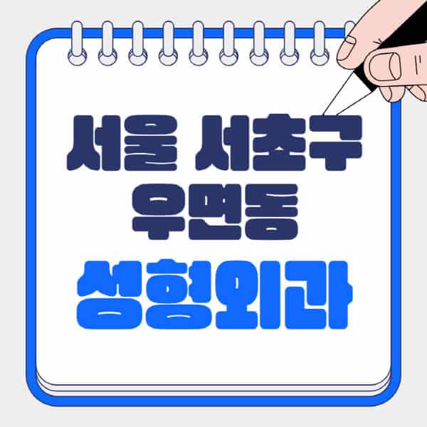 서울-서초구-우면동-성형외과-유명한-곳-추천-일요일-전문의-잘하는-곳-흉터-눈-코-얼굴-지방이식