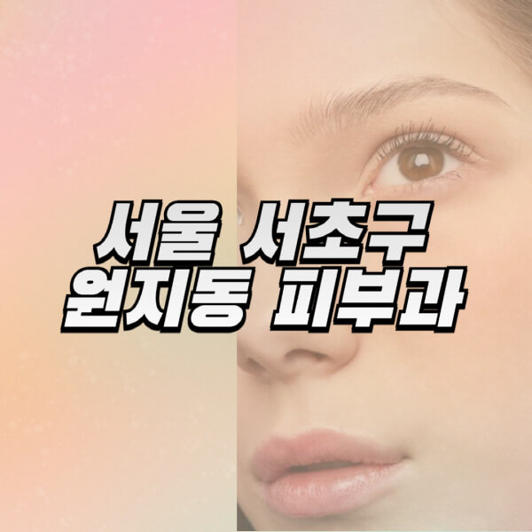 서울-서초구-원지동-피부과-잘하는-곳-추천-전문의-일요일-진료-유명한-곳-리프팅-보톡스-필러-레이저제모-여드름