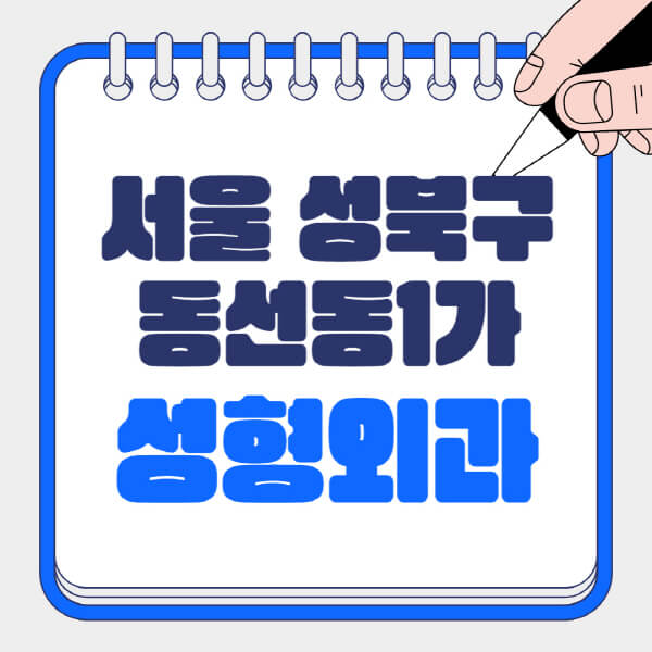 서울-성북구-동선동1가-성형외과-유명한-곳-추천-일요일-전문의-잘하는-곳-흉터-눈-코-얼굴-지방이식