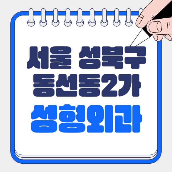 서울-성북구-동선동2가-성형외과-유명한-곳-추천-일요일-전문의-잘하는-곳-흉터-눈-코-얼굴-지방이식