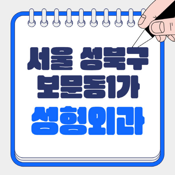 서울-성북구-보문동1가-성형외과-유명한-곳-추천-일요일-전문의-잘하는-곳-흉터-눈-코-얼굴-지방이식