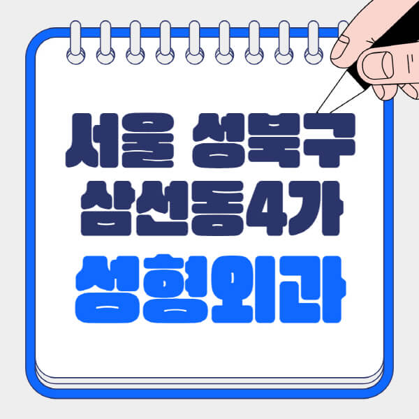 서울-성북구-삼선동4가-성형외과-유명한-곳-추천-일요일-전문의-잘하는-곳-흉터-눈-코-얼굴-지방이식