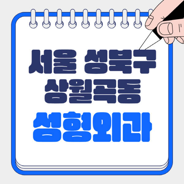 서울-성북구-상월곡동-성형외과-유명한-곳-추천-일요일-전문의-잘하는-곳-흉터-눈-코-얼굴-지방이식