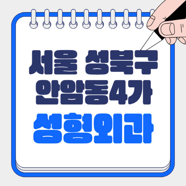 서울-성북구-안암동4가-성형외과-유명한-곳-추천-일요일-전문의-잘하는-곳-흉터-눈-코-얼굴-지방이식