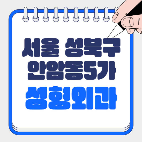 서울-성북구-안암동5가-성형외과-유명한-곳-추천-일요일-전문의-잘하는-곳-흉터-눈-코-얼굴-지방이식