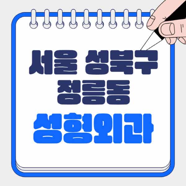 서울-성북구-정릉동-성형외과-유명한-곳-추천-일요일-전문의-잘하는-곳-흉터-눈-코-얼굴-지방이식