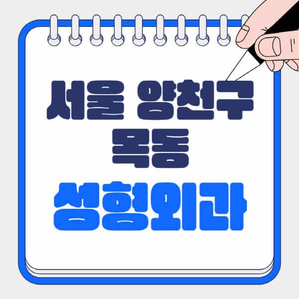 서울-양천구-목동-성형외과-유명한-곳-추천-일요일-전문의-잘하는-곳-흉터-눈-코-얼굴-지방이식