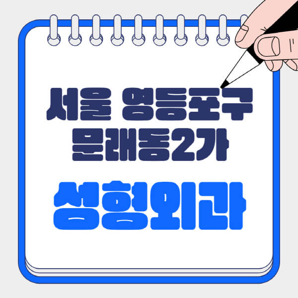 서울-영등포구-문래동2가-성형외과-유명한-곳-추천-일요일-전문의-잘하는-곳-흉터-눈-코-얼굴-지방이식